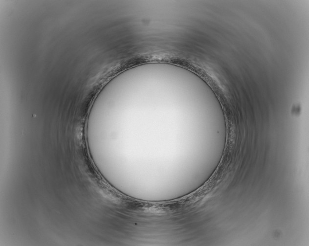 X0000091290545200708101028