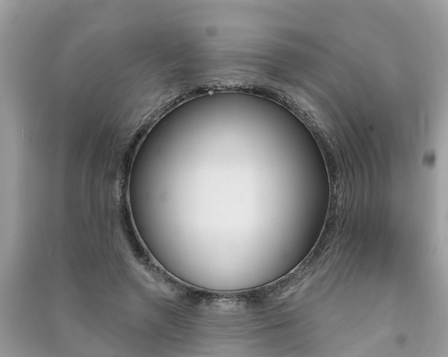 X0000091290546200708101028