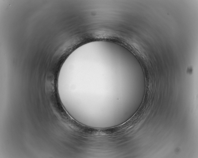 X0000091290547200708101028