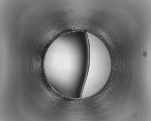 X0000091290548200708101028