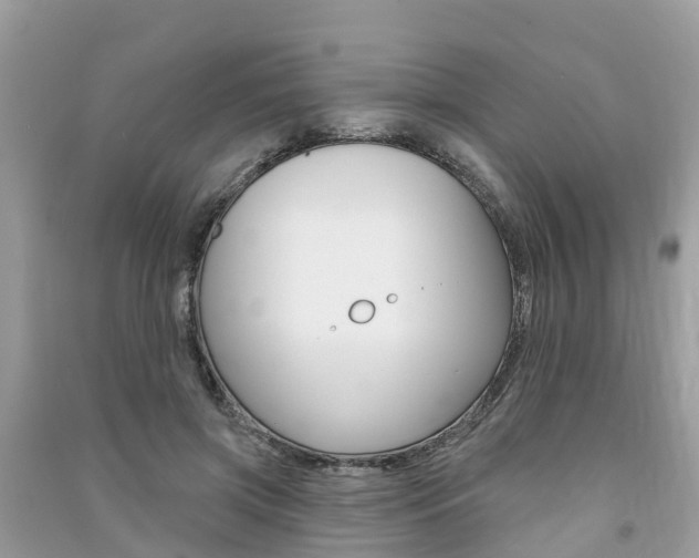 X0000091290549200708101028