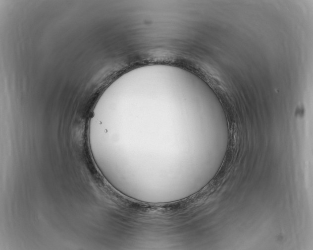 X0000091290550200708101028