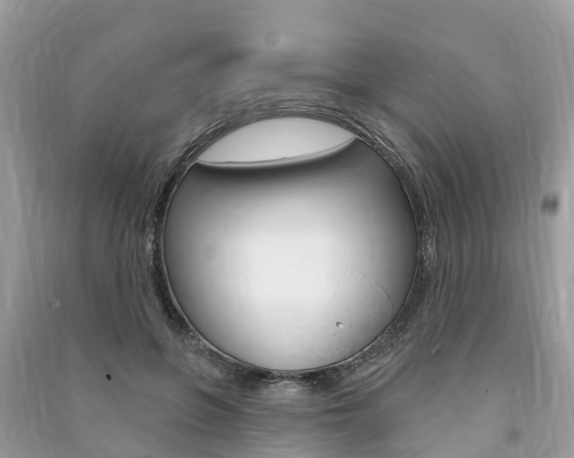 X0000091290551200708101028