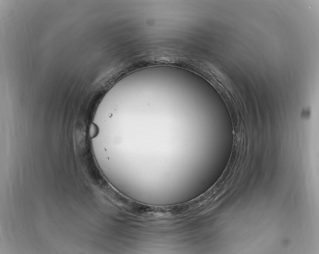 X0000091290552200708101028