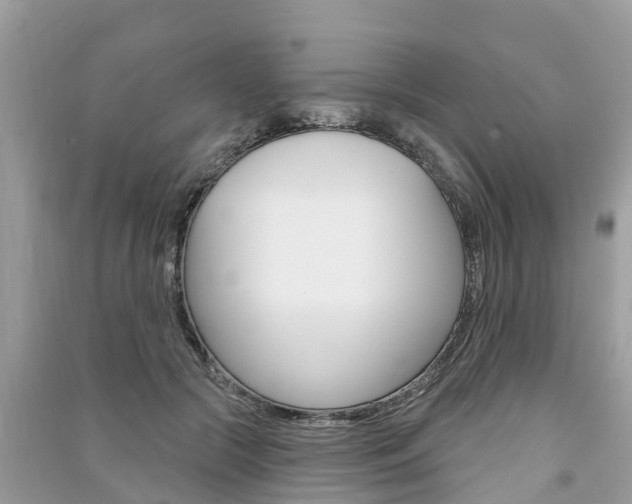 X0000091290553200708101028