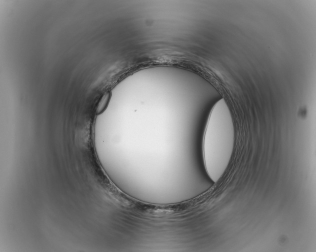 X0000091290554200708101028