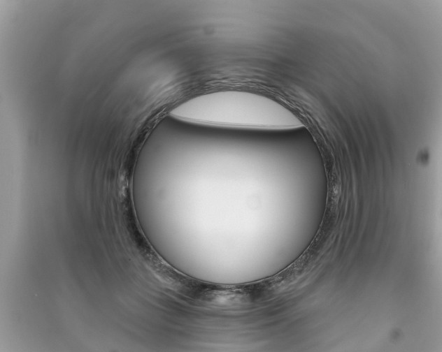 X0000091290555200708101028