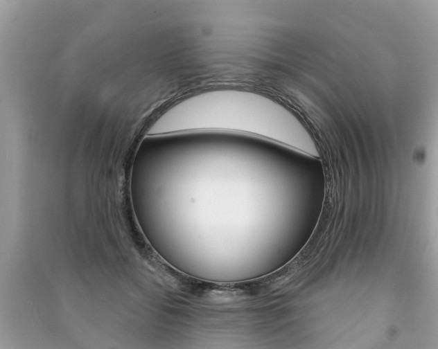X0000091290556200708101028