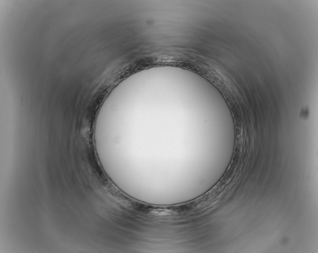 X0000091290557200708101028
