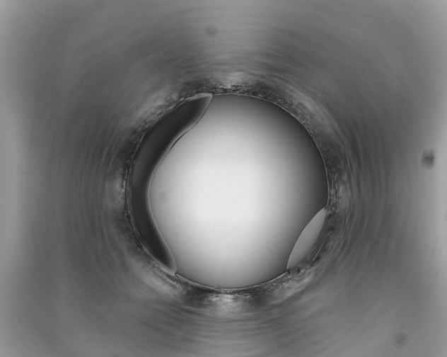 X0000091290558200708101028