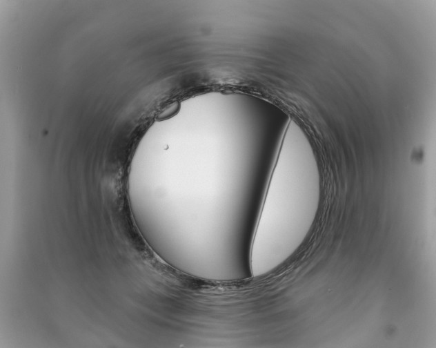 X0000091290559200708101028