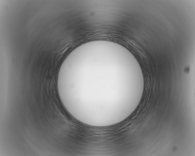 X0000091290560200708101028