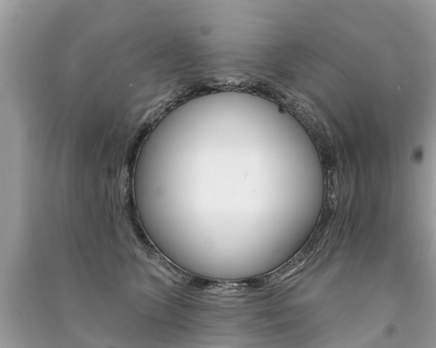 X0000091290563200708101028