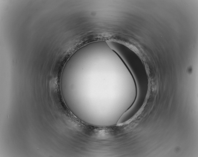 X0000091290564200708101028