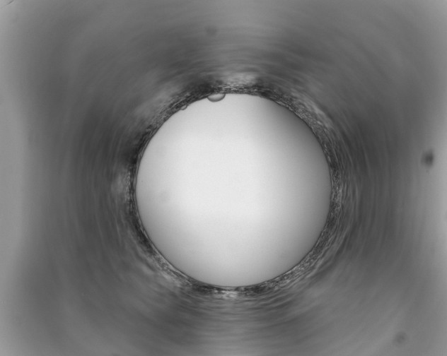 X0000091290565200708101028