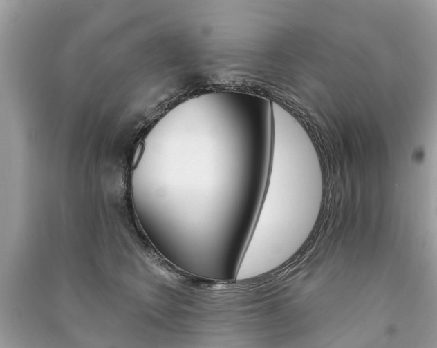 X0000091290566200708101028