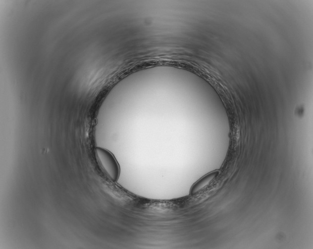 X0000091290567200708101028