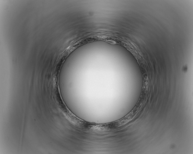 X0000091290568200708101028