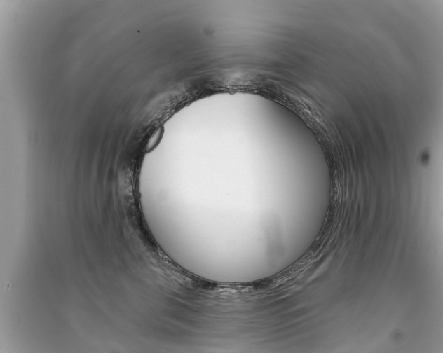 X0000091290571200708101028