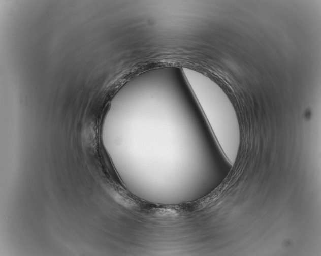 X0000091290572200708101028