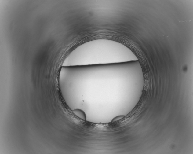 X0000091290573200708101028