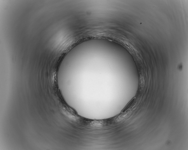 X0000091290574200708101028