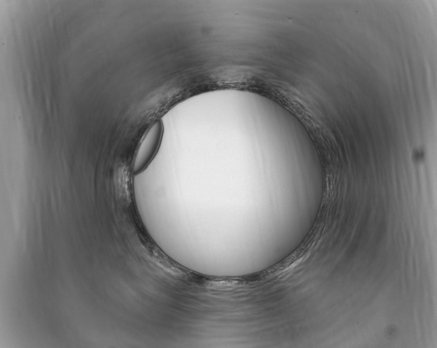X0000091290575200708101028