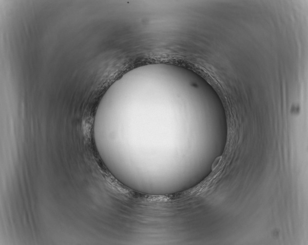 X0000091290576200708101028