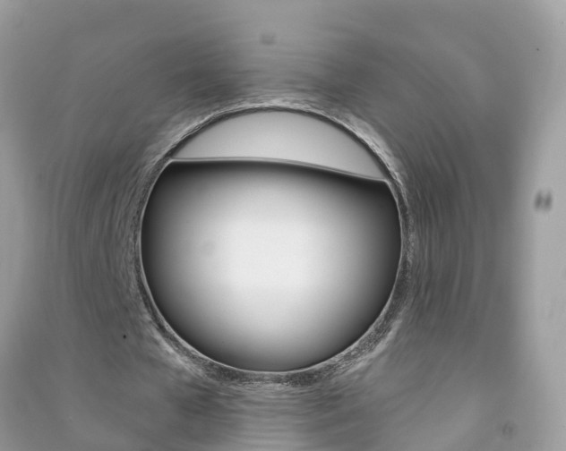 X0000091290577200708101028