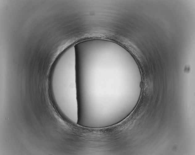 X0000091290578200708101028