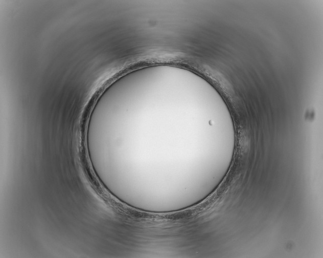 X0000091290582200708101028