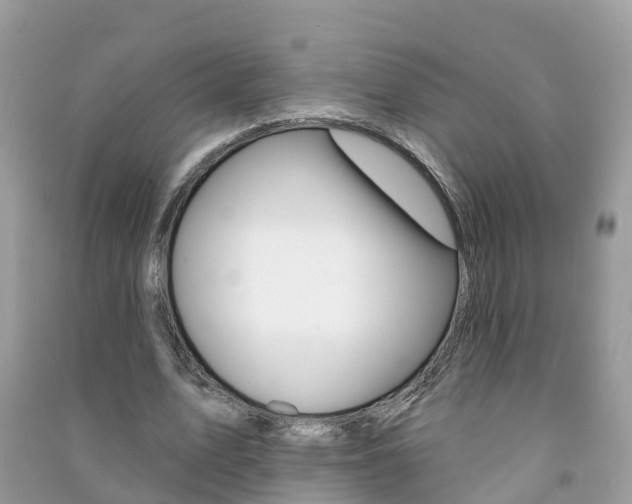 X0000091290583200708101028