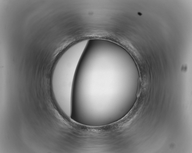 X0000091290585200708101028