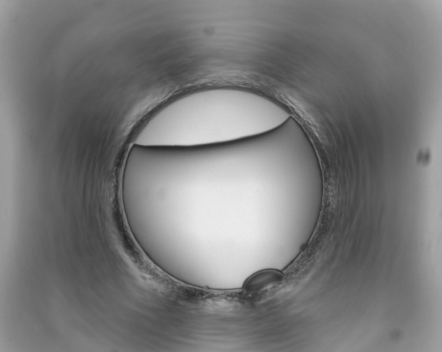 X0000091290586200708101028