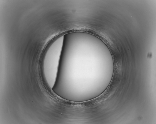 X0000091290587200708101028