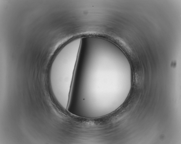 X0000091290588200708101028
