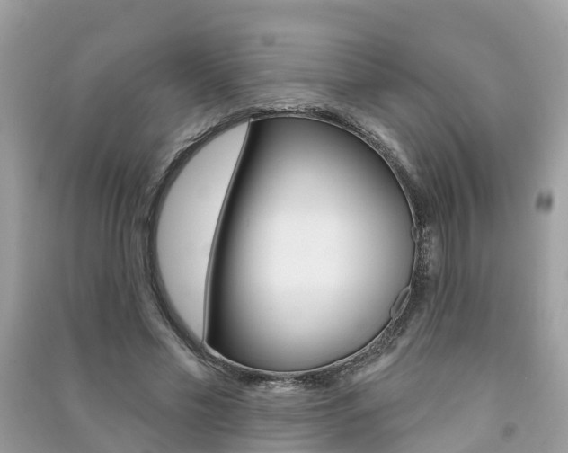 X0000091290589200708101028