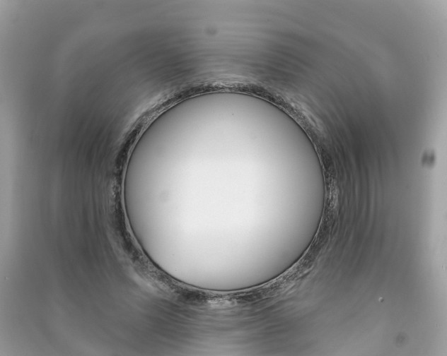 X0000091290591200708101028