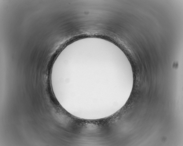 X0000091290592200708101028