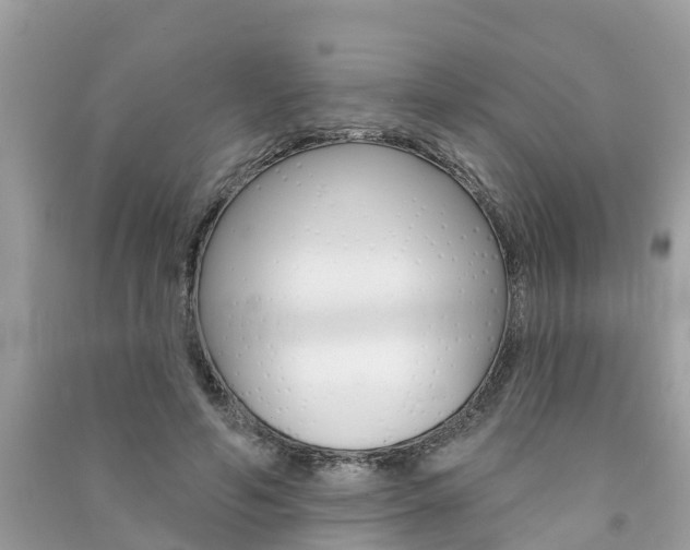 X0000091290594200708101028