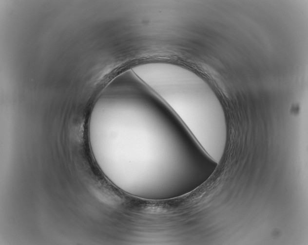 X0000091290596200708101028