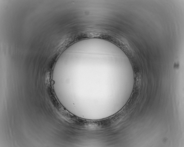 X0000091290598200708101028