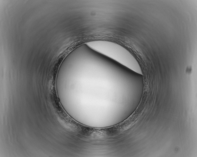 X0000091290599200708101028