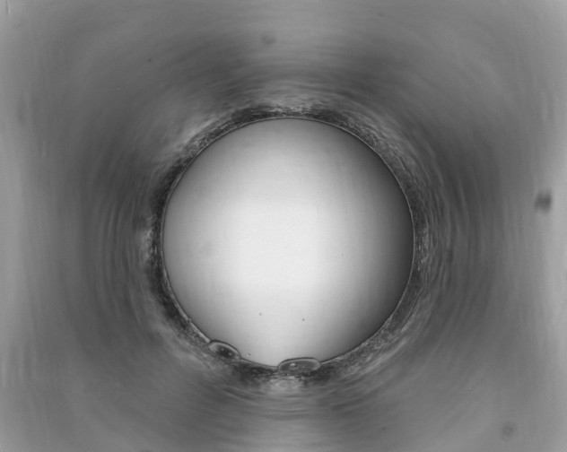 X0000091290600200708101028