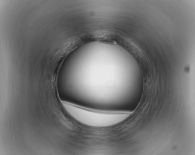 X0000091290601200708101028