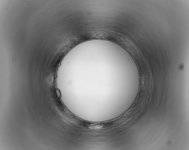 X0000091290602200708101028
