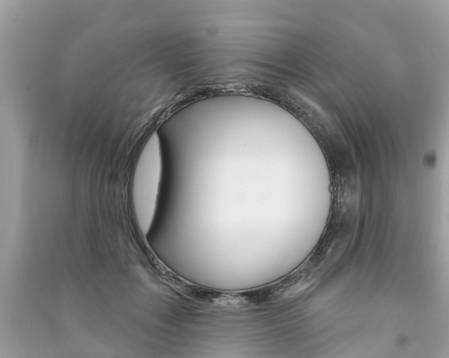 X0000091290603200708101028