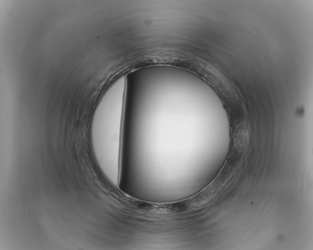 X0000091290604200708101028