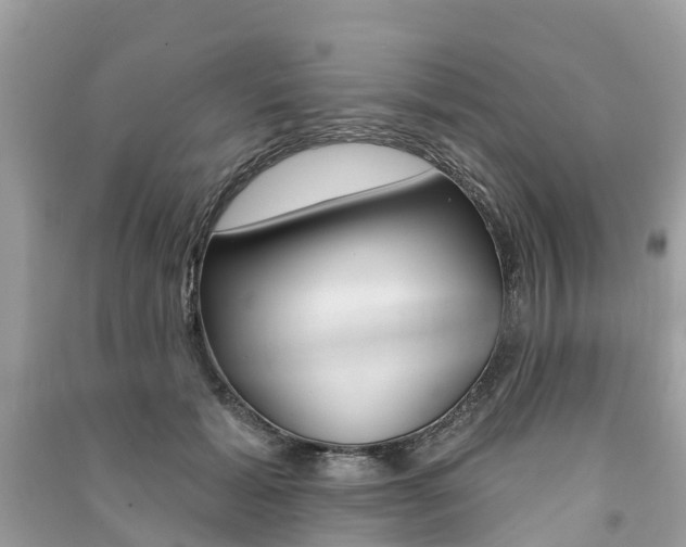 X0000091290605200708101028