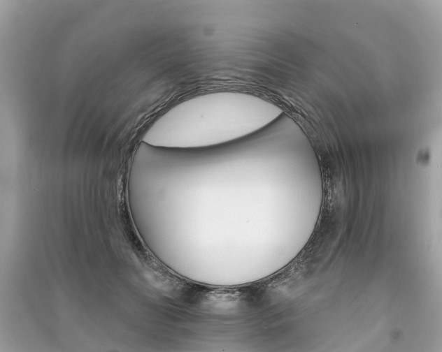 X0000091290606200708101028